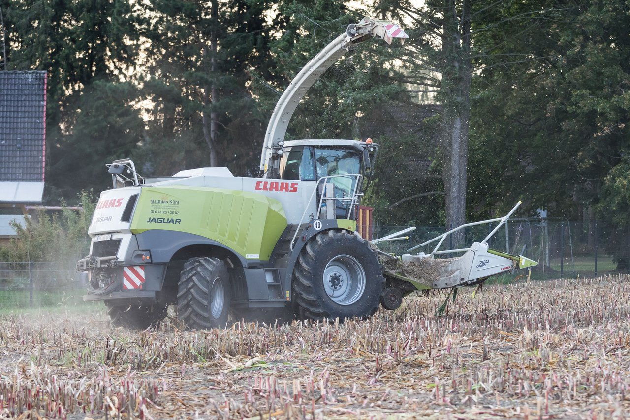 Bild 172 - Maisernte 2016